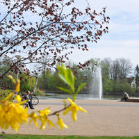 Bild vergrern: Das Bild zeigt  den Steinmeisterpark mit Fontne